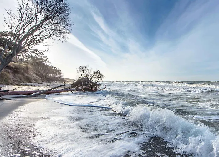 Ostseeblick Inklusive Strandkorb Von April-oktober Ostseeheilbad Zingst